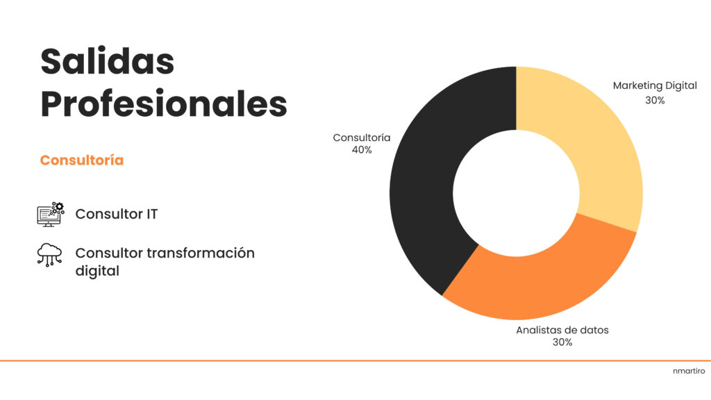 Salidas profesionales dentro del sector de comunicación y documentación aplicadas a la transformación digital - nmartiro